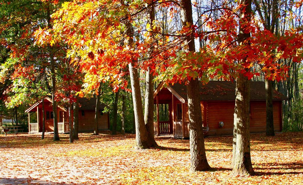 Fall Colors